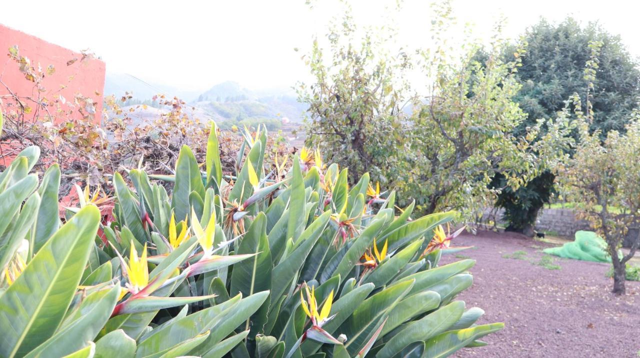 Casa Rural En San Mateo Las Palmas / Gran Canaria Exterior foto